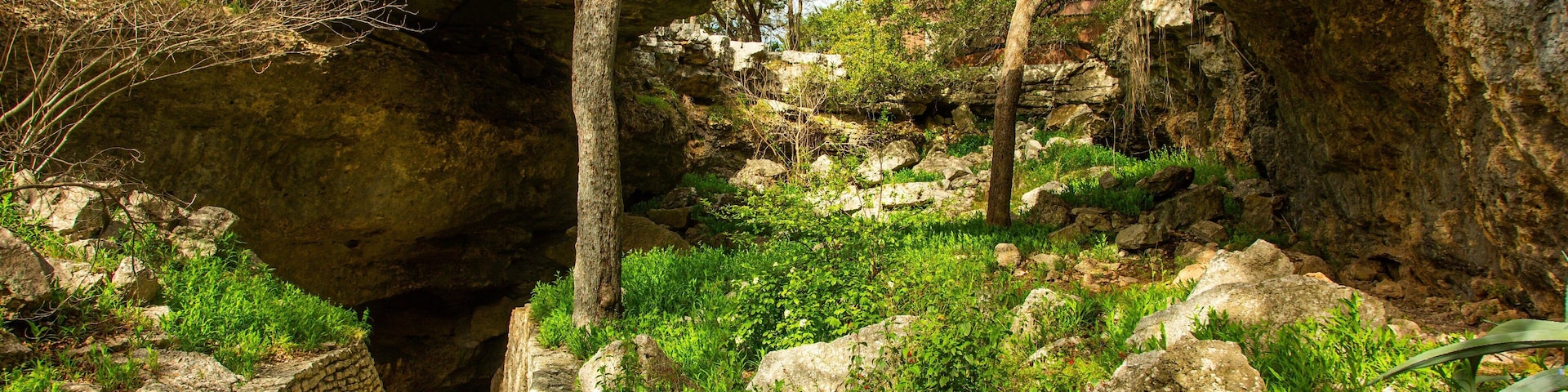 Natural Bridge Caverns which includes tranquil scenes