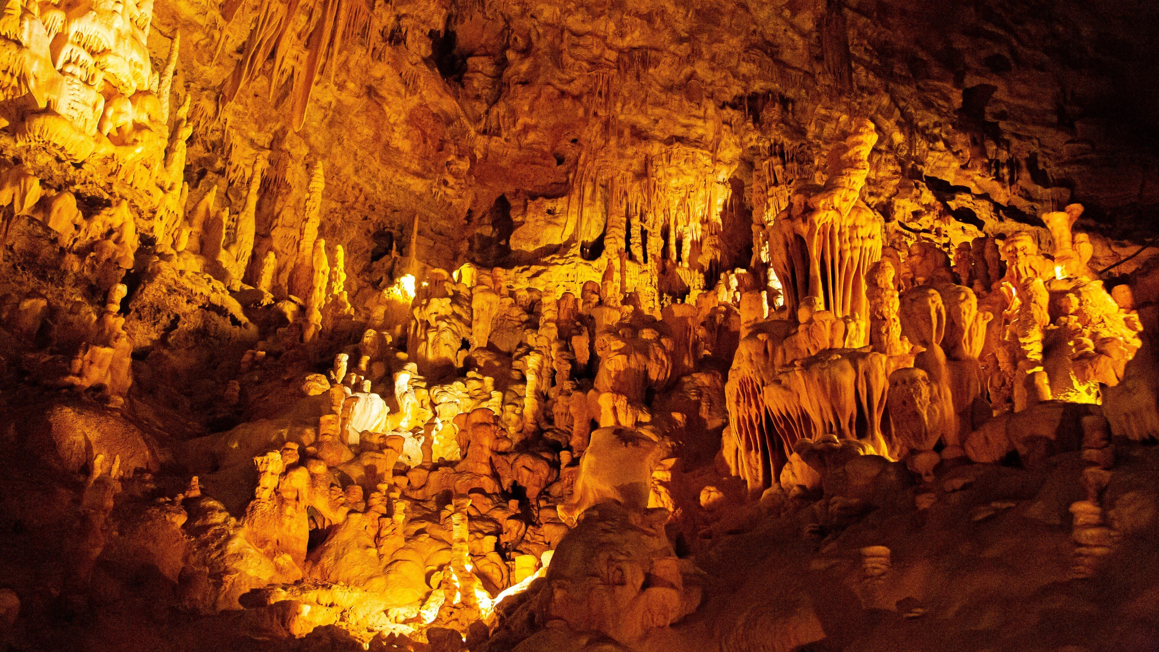 Natural Bridge Caverns featuring caves