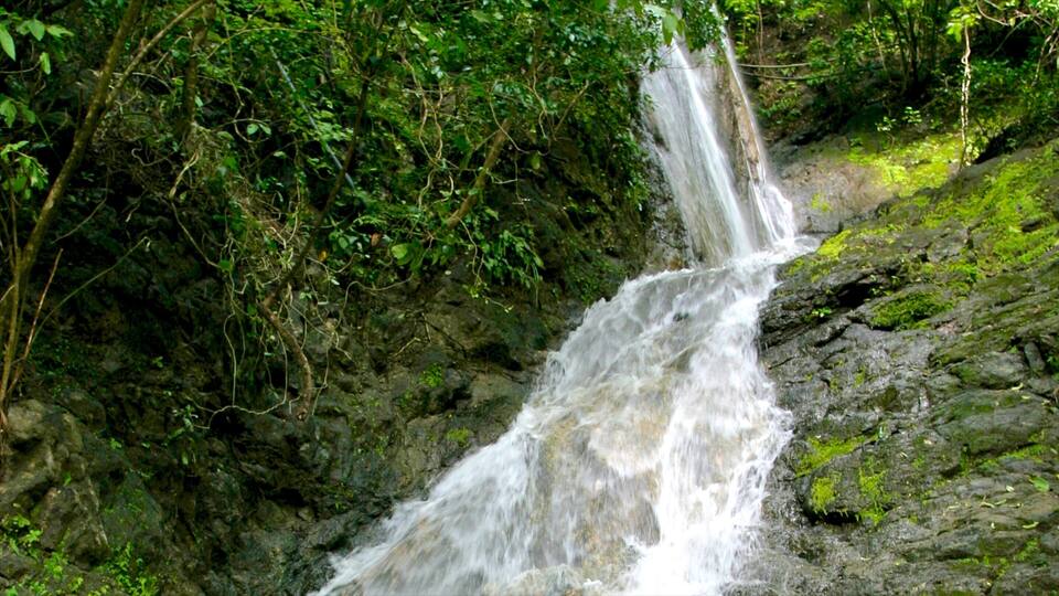 A waterfall cascading over rocks surrounded by dense green foliage.