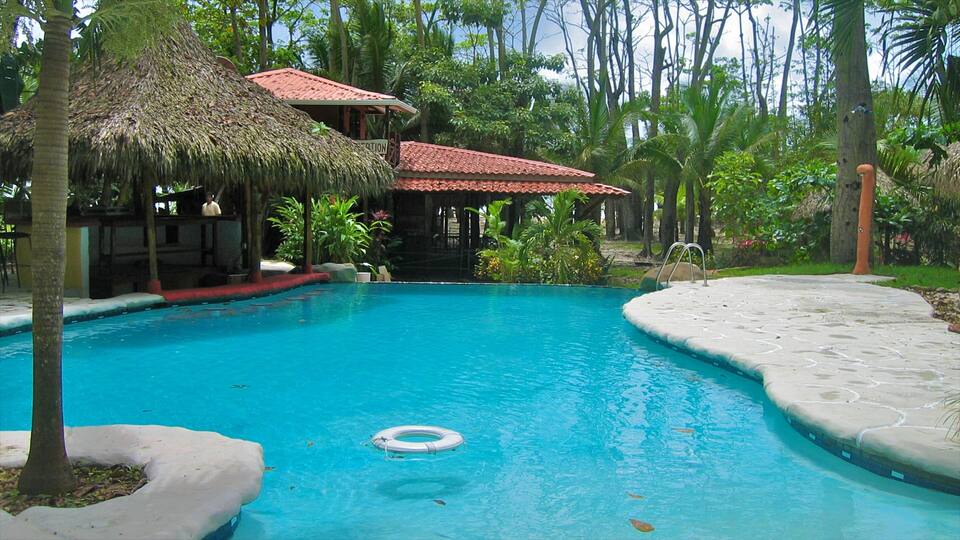 A clear blue pool surrounded by lush greenery and a thatched-roof building.