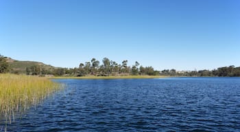 A calm lake with clear blue water, surrounded by grassy banks and a line of trees.