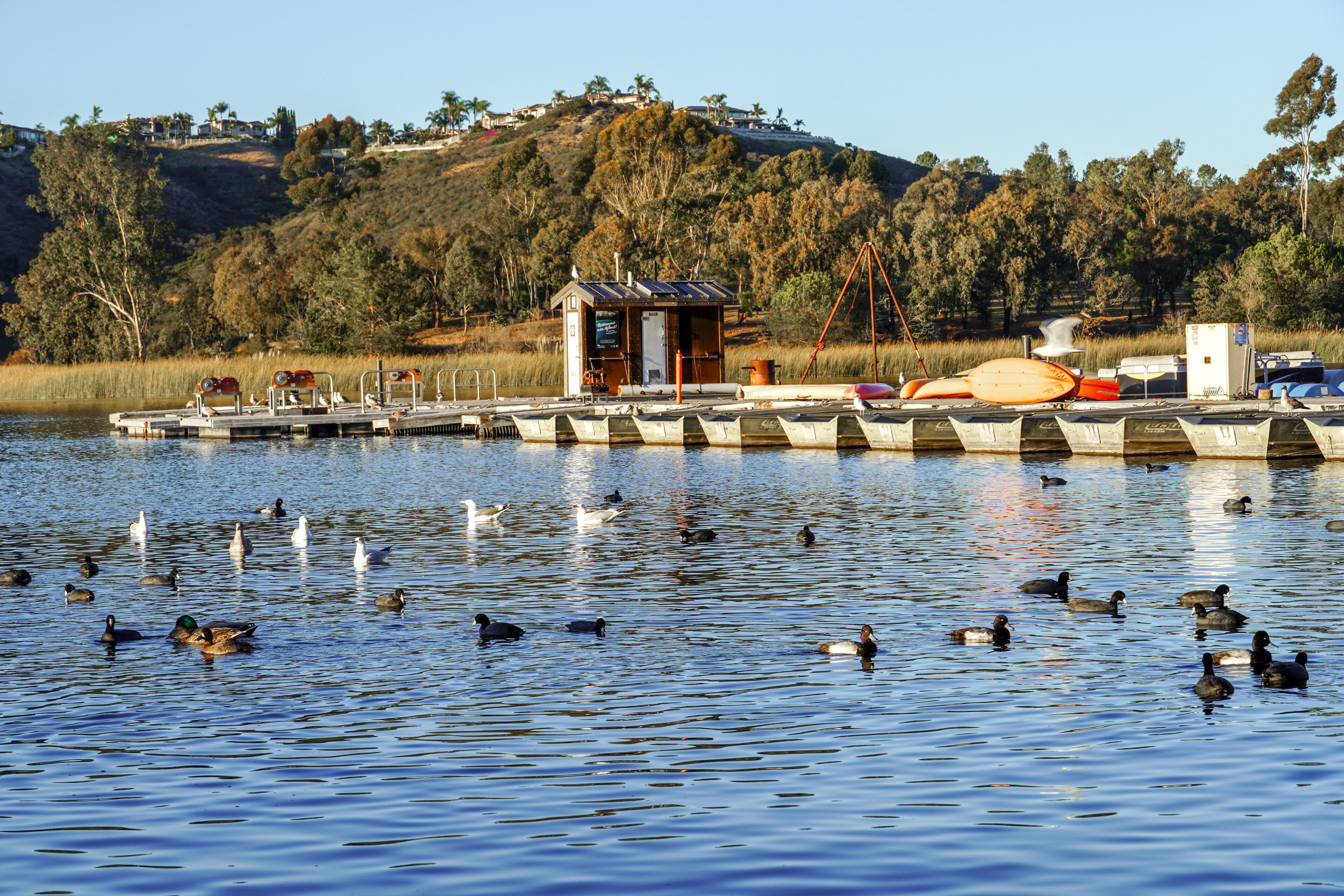 Wood pier with pedal boat and small boat. Miramare Lake, San Diego, California, USA. 