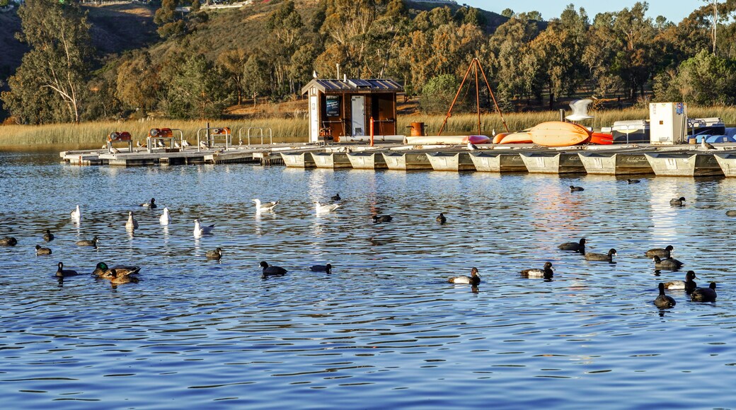Wood pier with pedal boat and small boat. Miramare Lake, San Diego, California, USA.