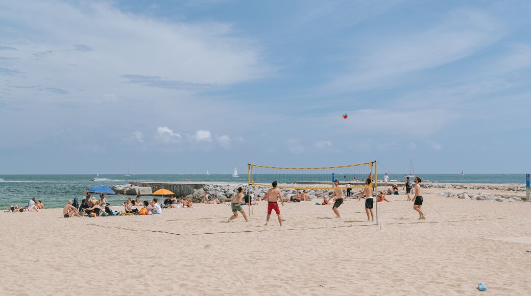 Bogatell Beach featuring general coastal views and a beach as well as a small group of people