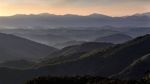Virginia