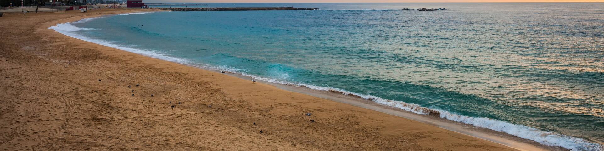 Nova Icaria Beach in Barcelona