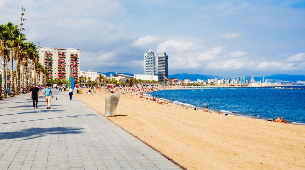 Playa de San Sebastián