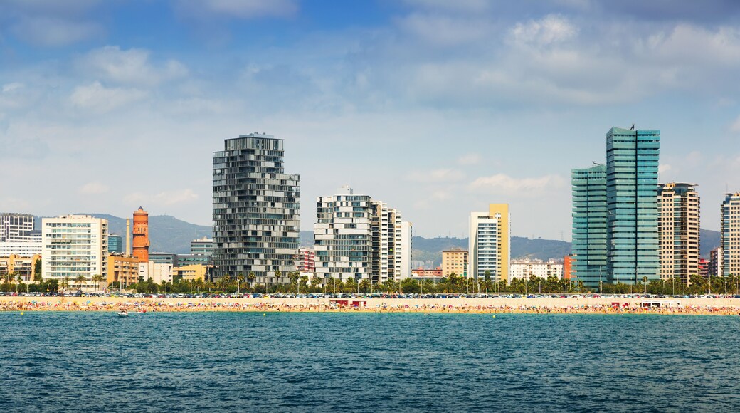 カジノ バルセロナ