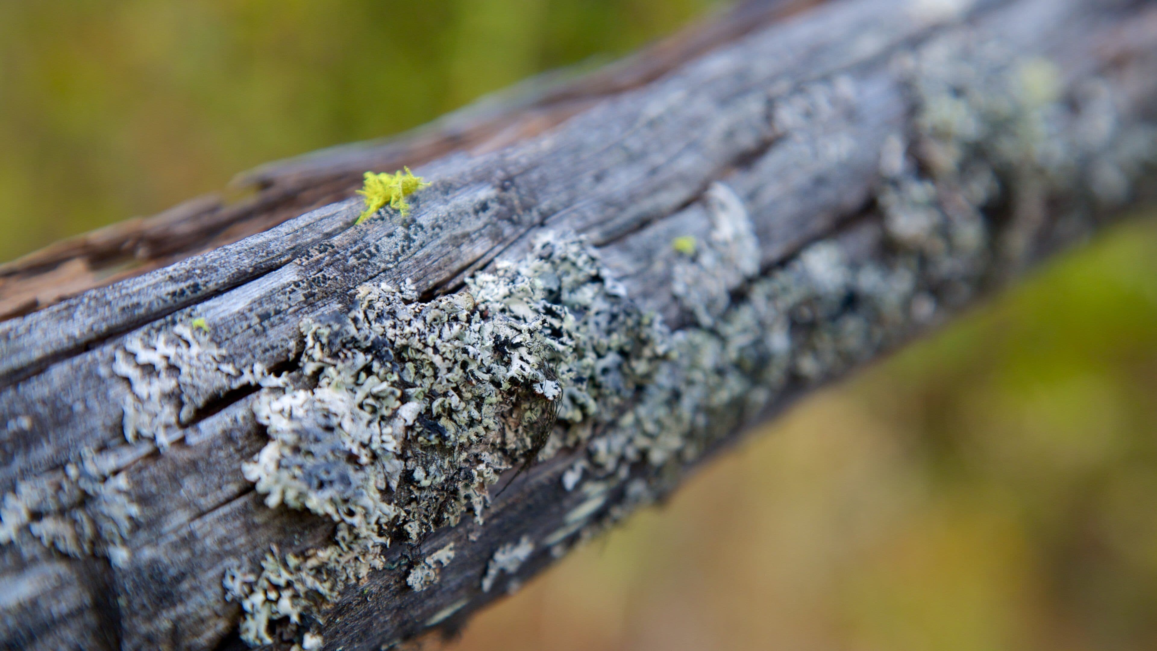 Scenic Canyon Regional Park