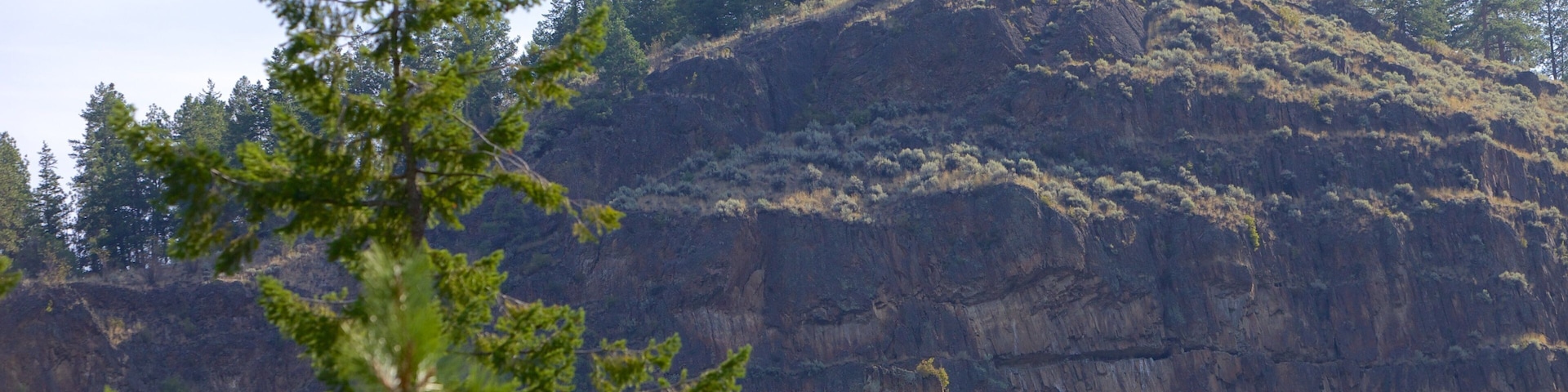 Scenic Canyon Regional Park which includes a gorge or canyon