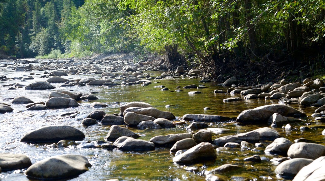 Scenic Canyon Regional Park montrant rivière ou ruisseau