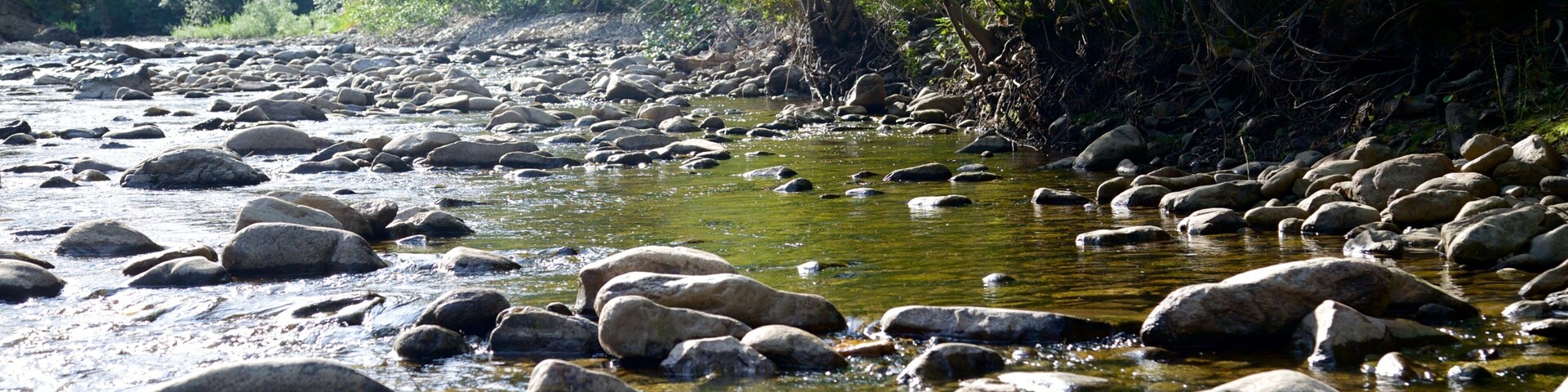 Scenic Canyon Regional Park which includes a river or creek