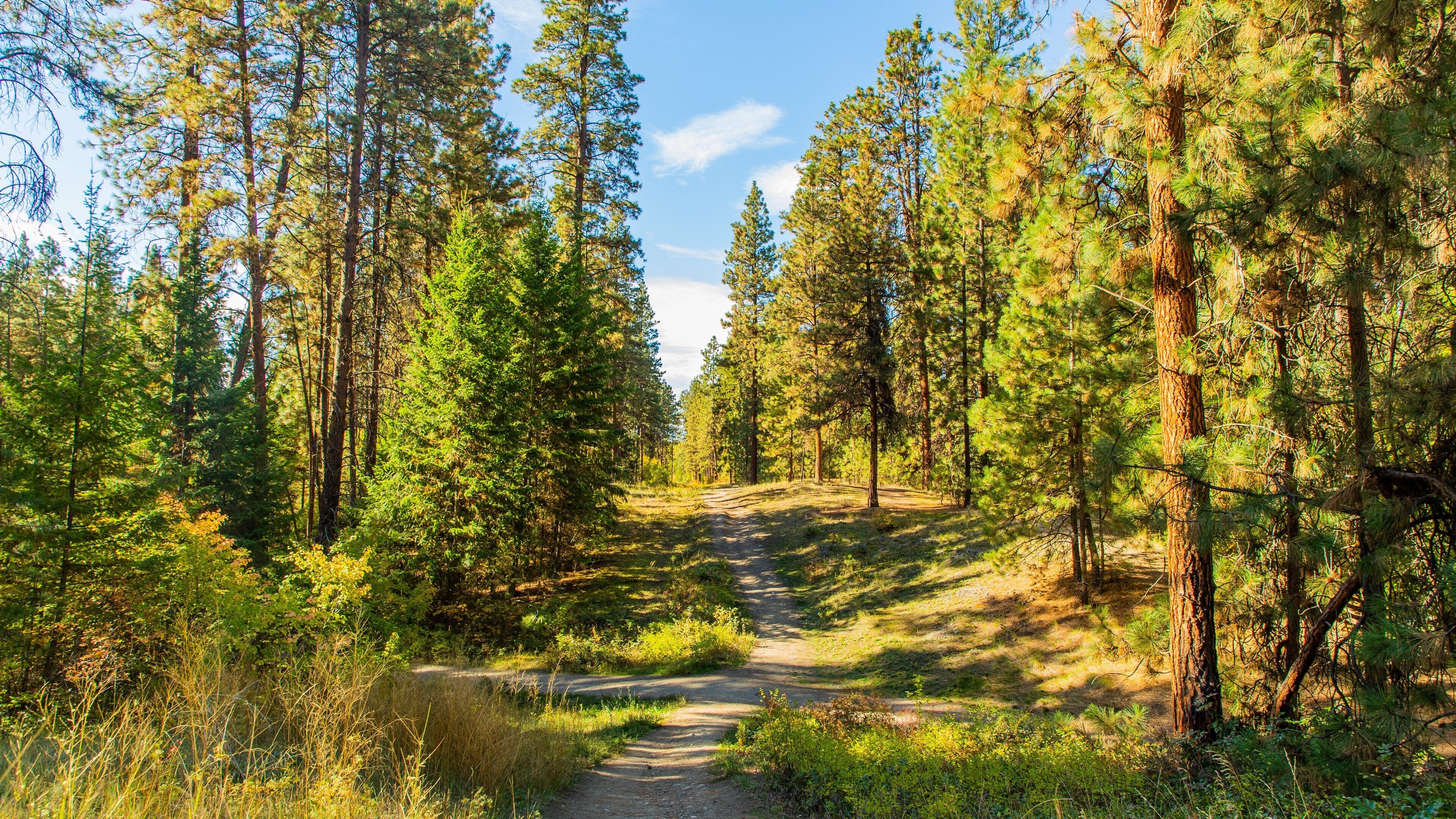 Mission Creek Regional Park which includes a park and forests