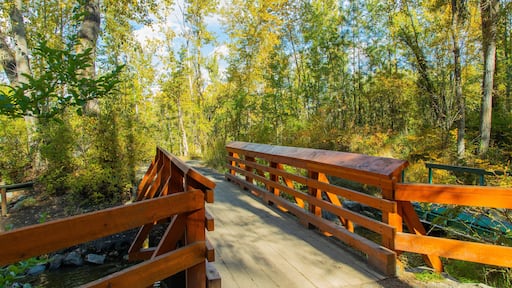 Mission Creek Regional Park which includes forest scenes, a bridge and a garden