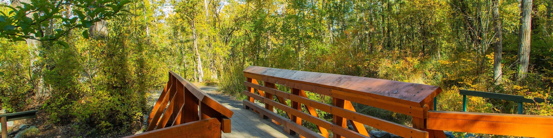 Mission Creek Regional Park which includes forest scenes, a bridge and a garden
