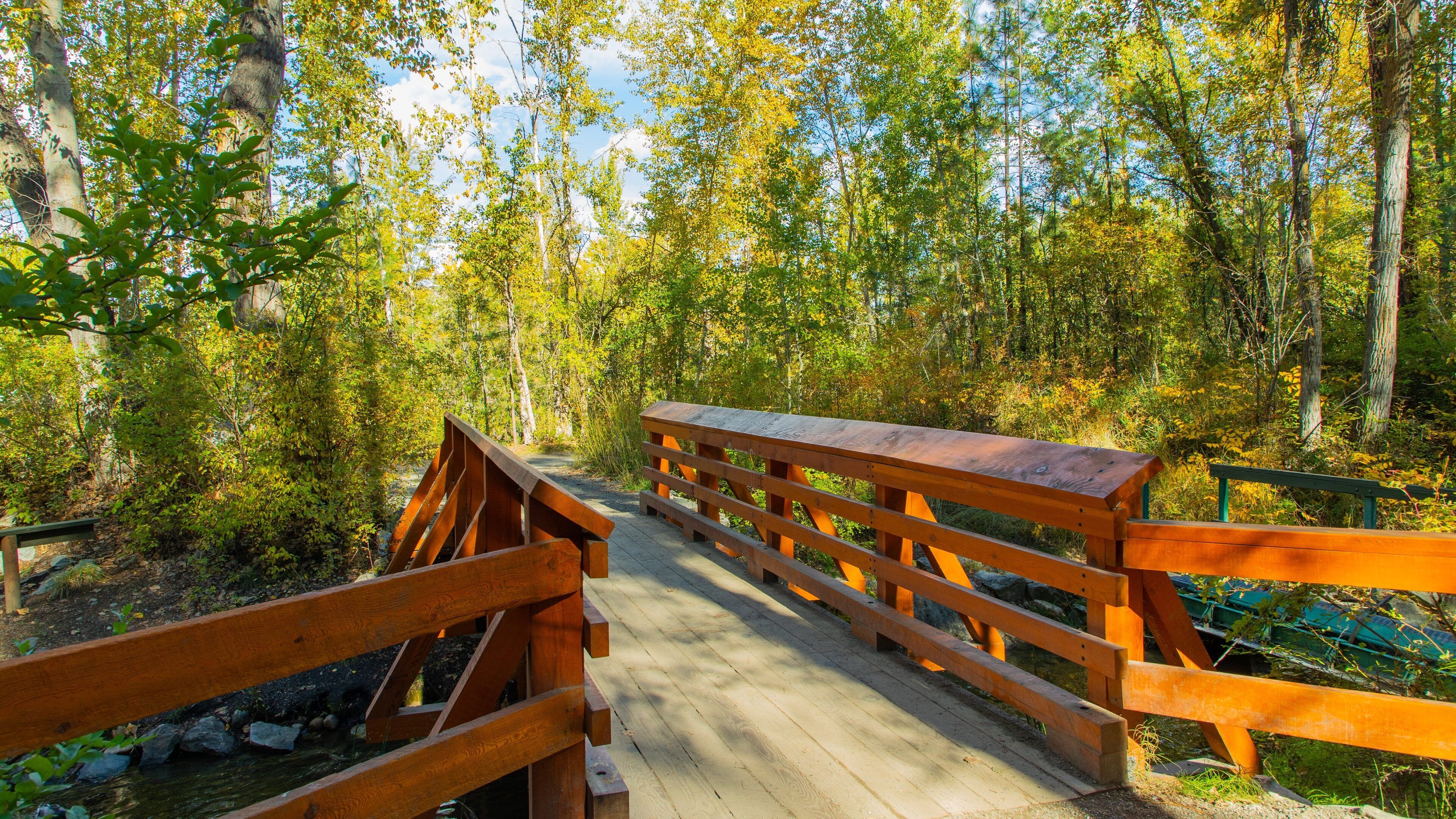 A wooden bridge in a forest with a stream below.