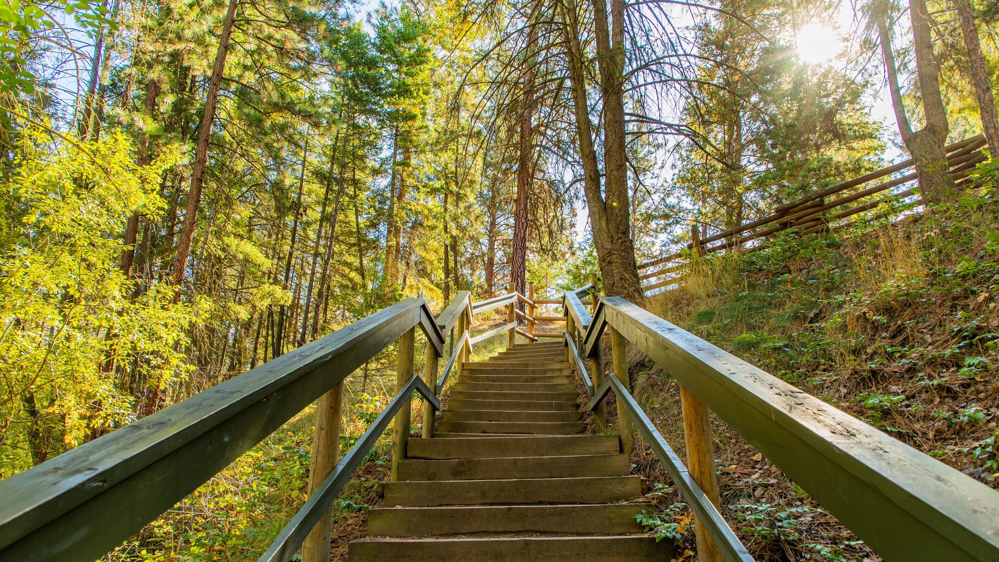 Mission Creek Regional Park featuring a garden and forests