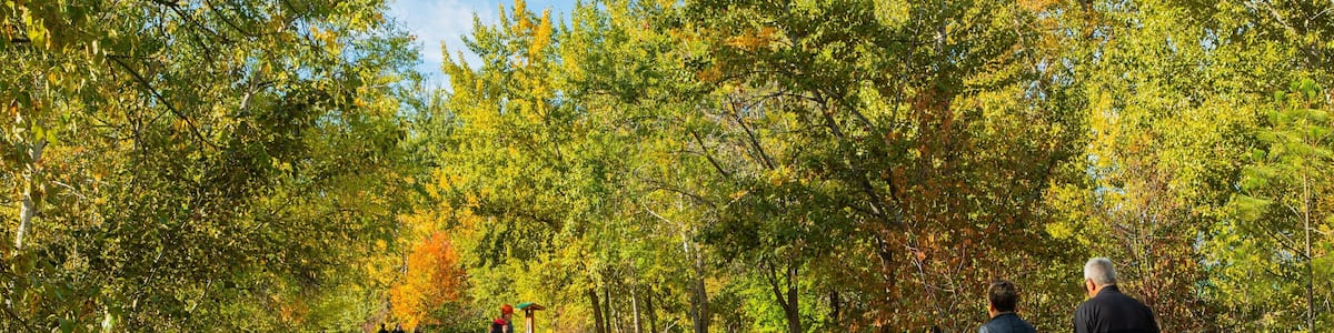 Mission Creek Regional Park featuring a garden as well as a couple