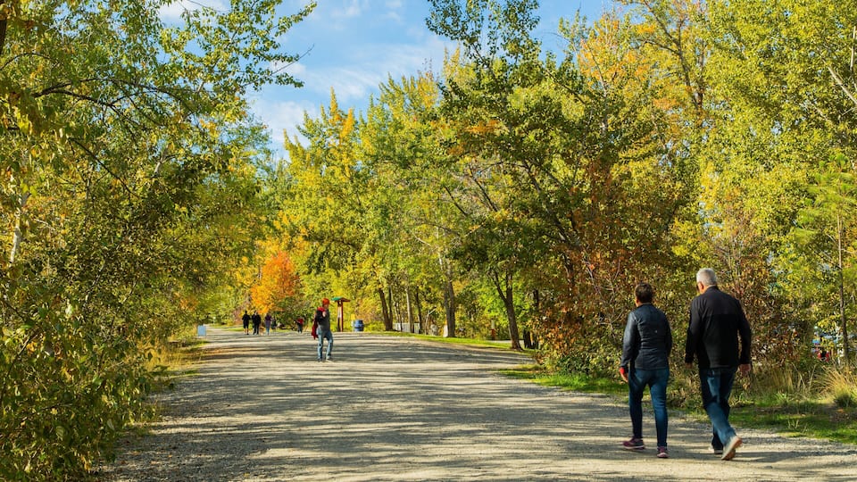 Mission Creek Regional Park featuring a garden as well as a couple