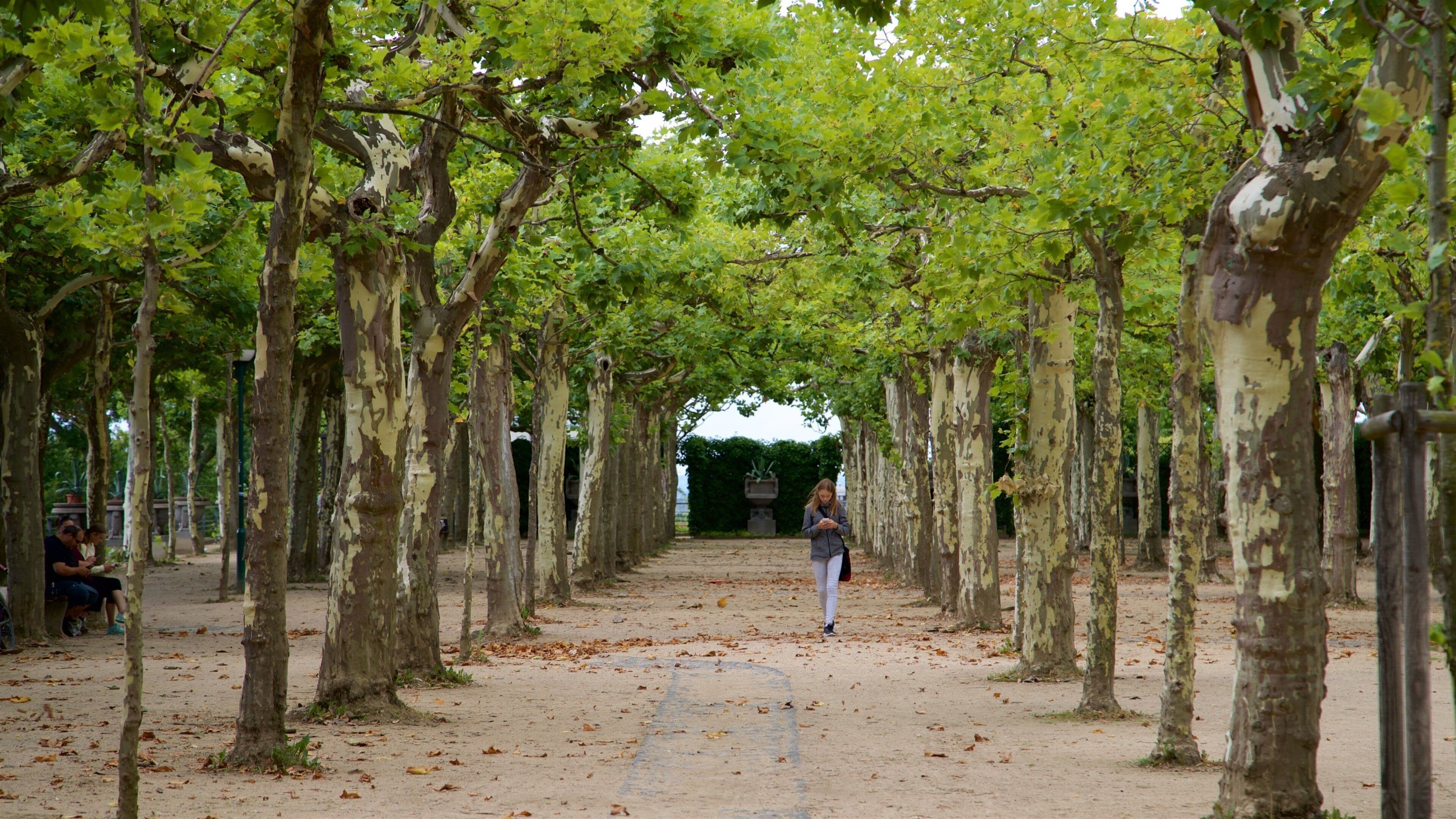 Colonia de artistas de Darmstadt que incluye un parque y también una mujer