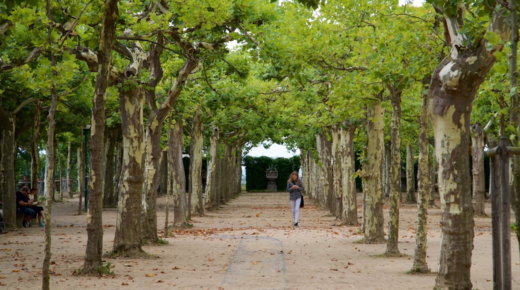 Colonia de artistas de Darmstadt que incluye un parque y también una mujer
