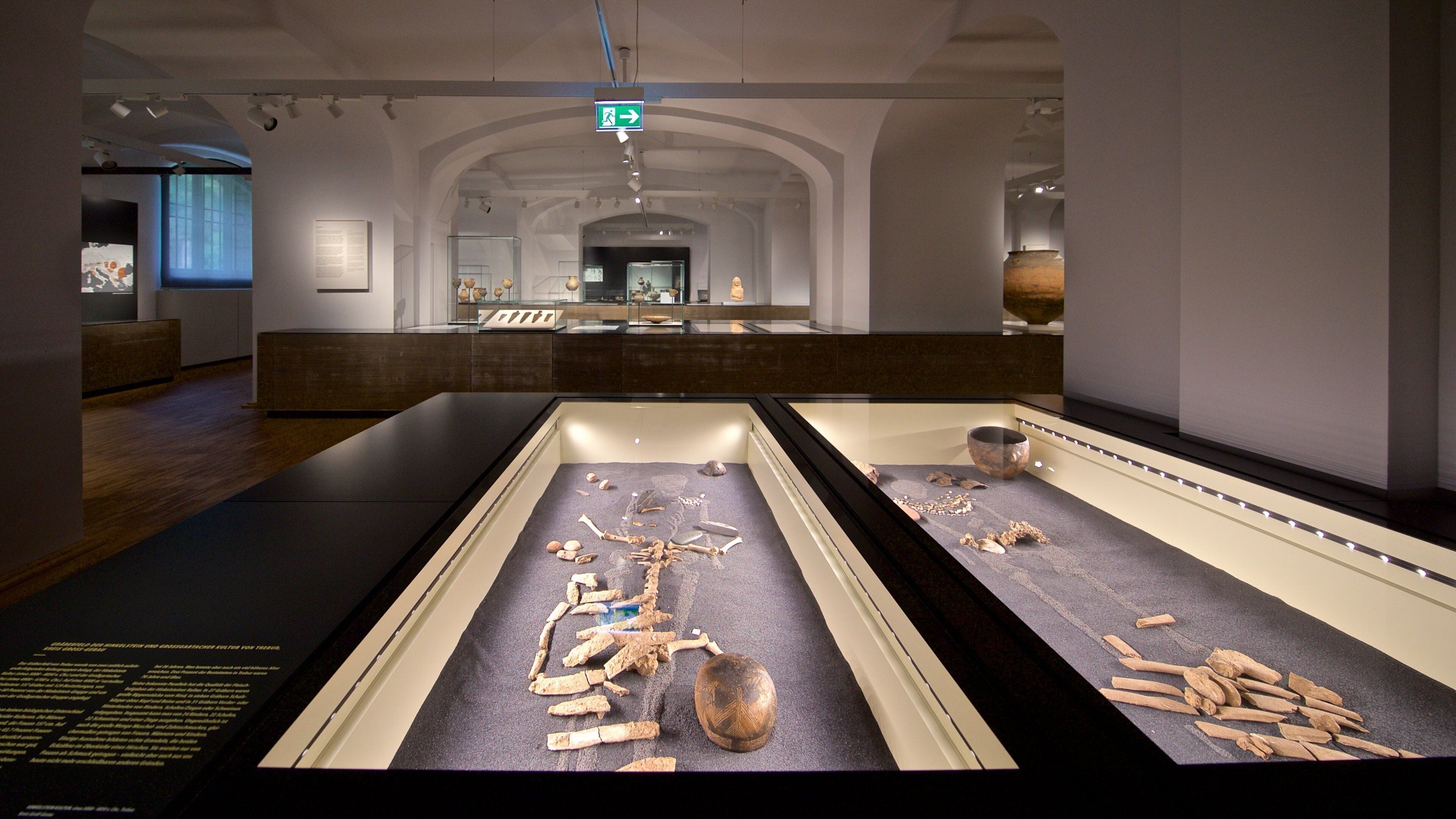 黑森州州立博物館 设有 內部景觀 和 傳統元素