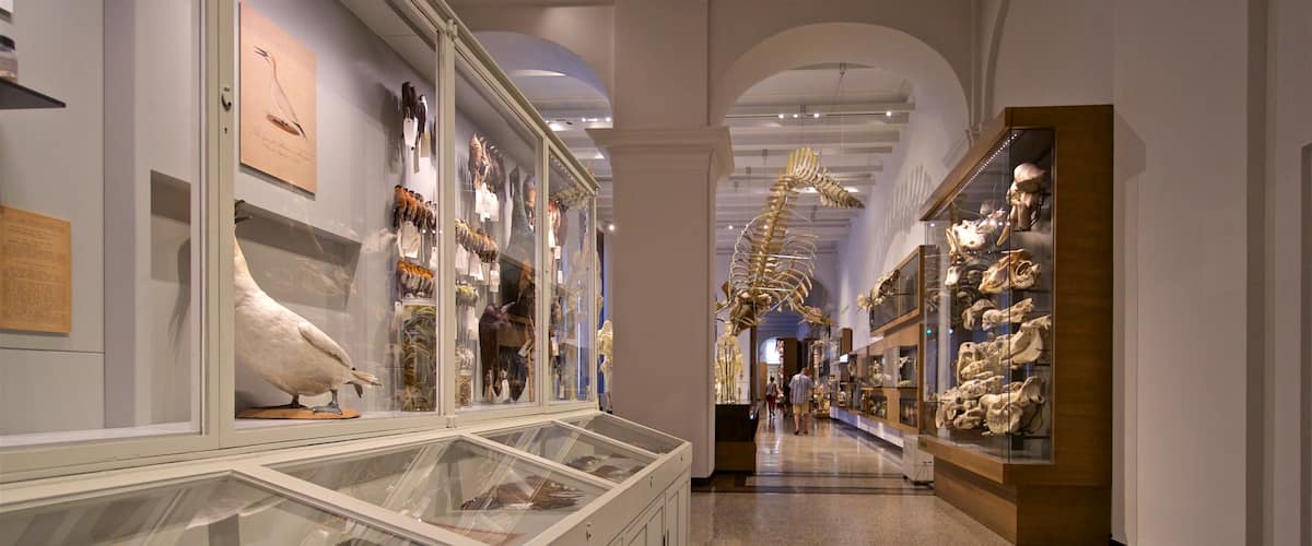 Museo estatal de Hesse que incluye elementos del patrimonio y vistas interiores