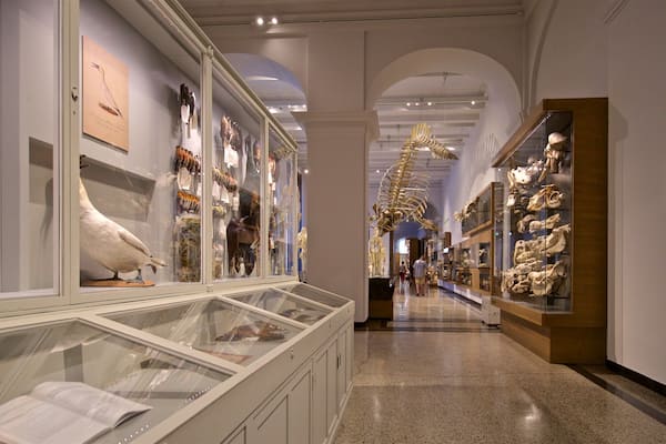 Hessisches Landesmuseum showing interior views and heritage elements