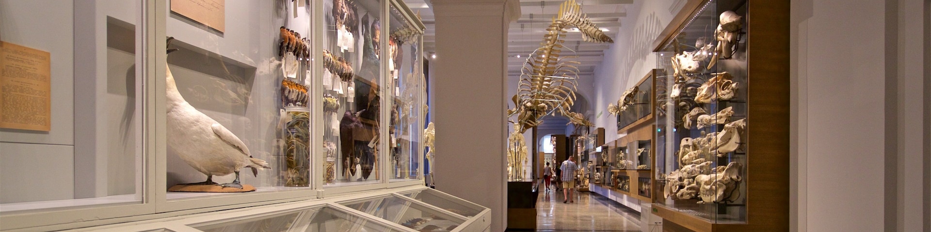 Hessisches Landesmuseum que inclui vistas internas e elementos de patrimônio