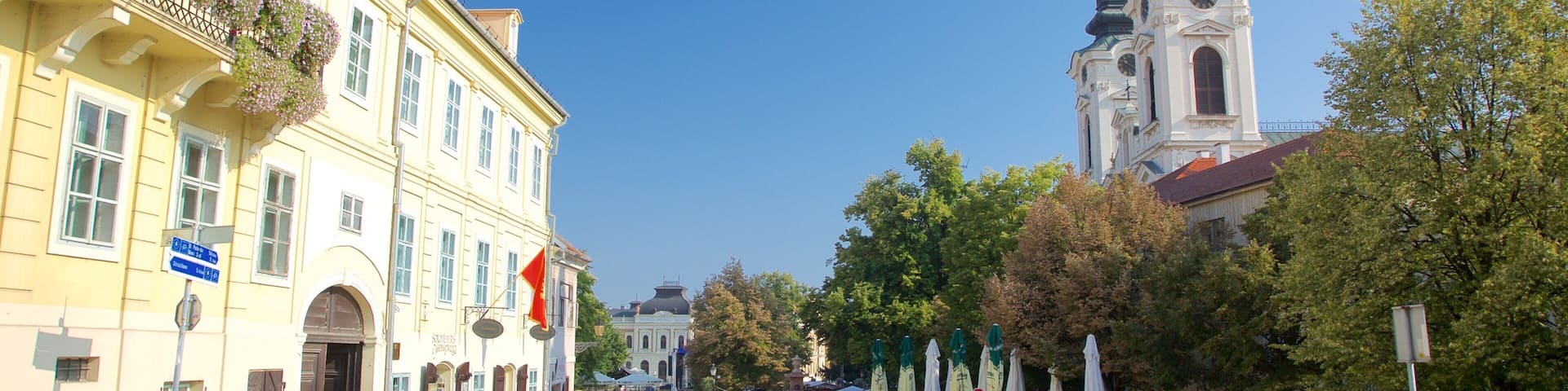 Sremski Karlovci showing a city and heritage architecture