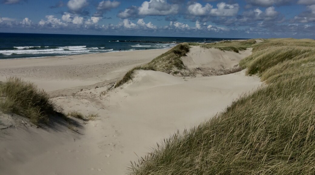 Beautifull empty beach in midsummer. NorthSea bikeroute 1