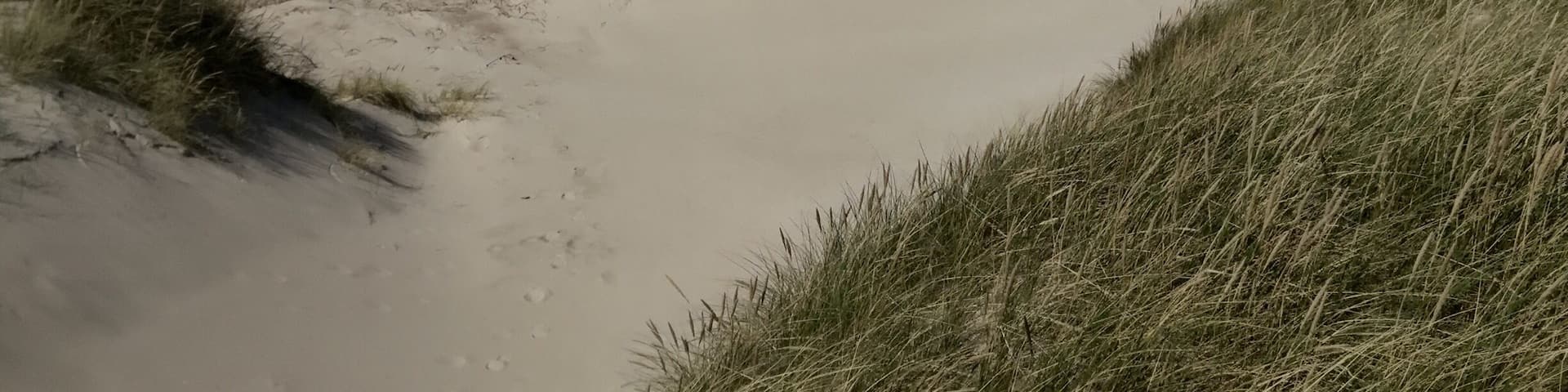 Beautifull empty beach in midsummer. NorthSea bikeroute 1
