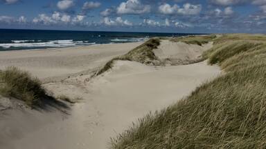Beautifull empty beach in midsummer. NorthSea bikeroute 1