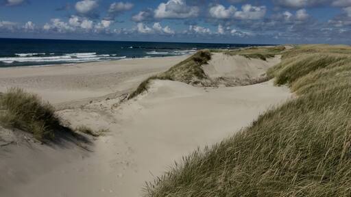 Beautifull empty beach in midsummer. NorthSea bikeroute 1