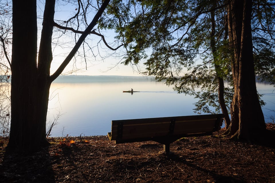 A bench overlooking a calm lake with trees framing the view.