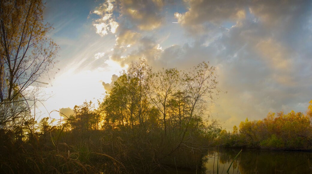 Sunset panorama of a lake just off of Louisiana's Lake Pontchartrain in Laplace.