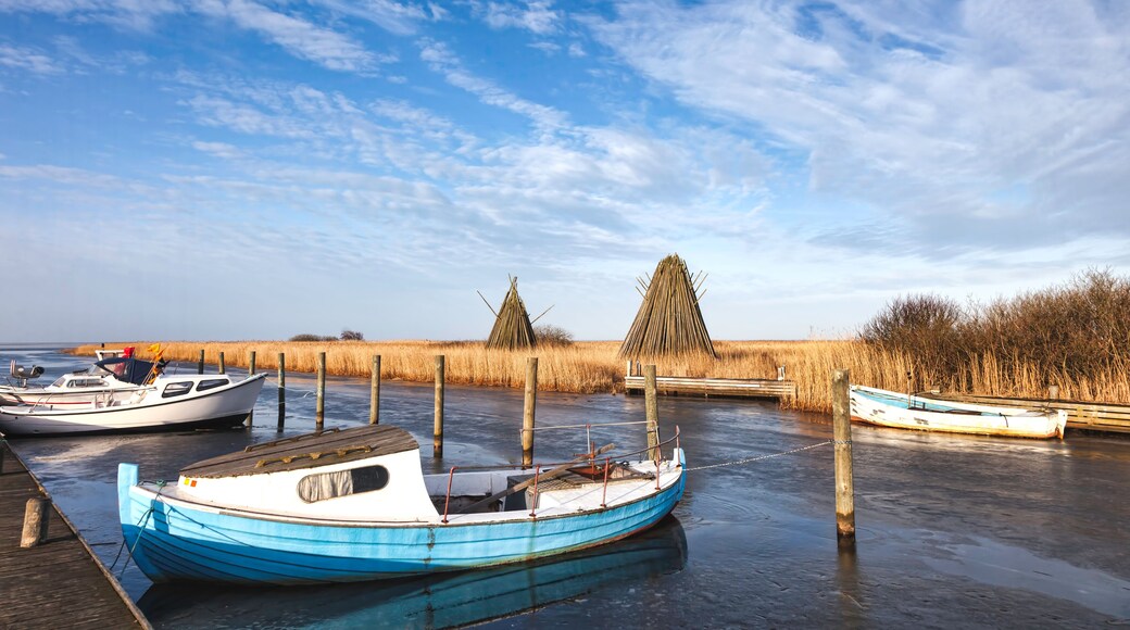 Stauning harbor in the western part of Denmark