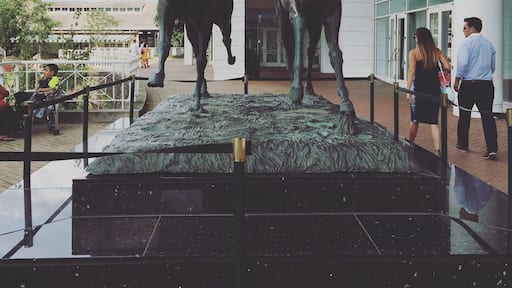 It's fun to watch and bet on the horses