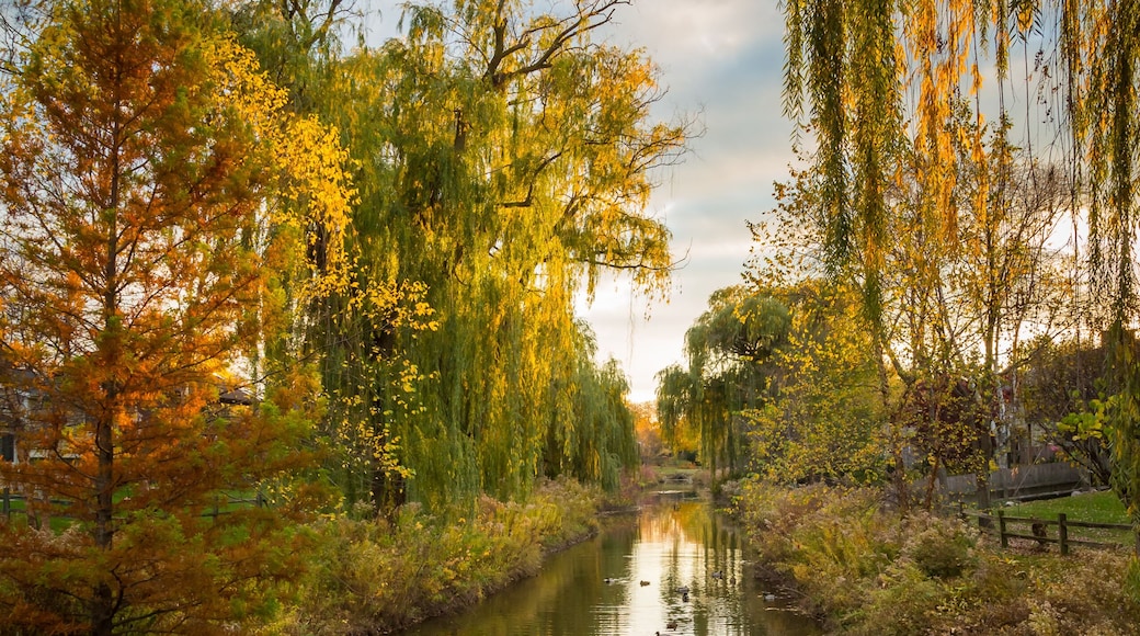 Hoffman Estates