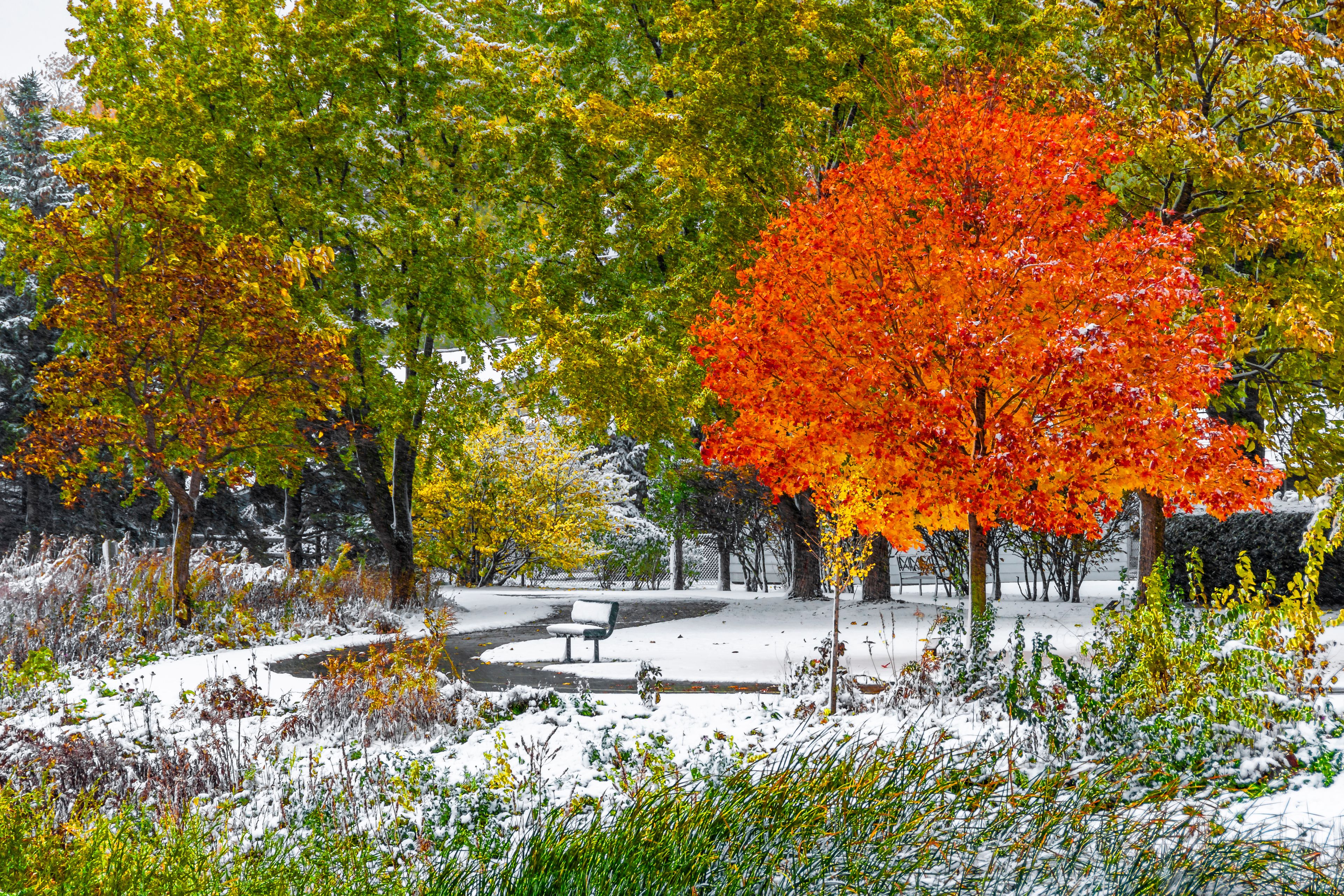 Rosemary S. Argus Friendship Park in Des Plaines Town of Illinois
