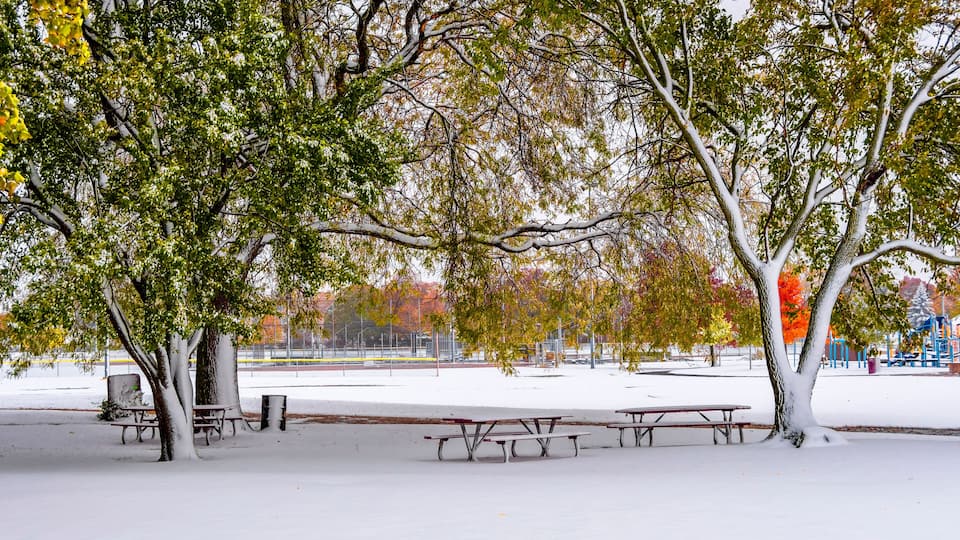 A snow-covered park with benches and trees.