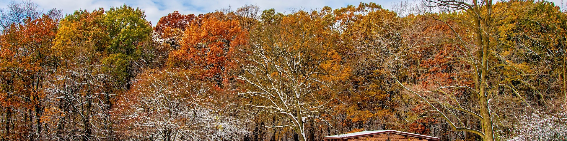 Ned Brown Preserve (Busse Woods) view with snow and autumn colors in Arlington Heights Town of Illinois