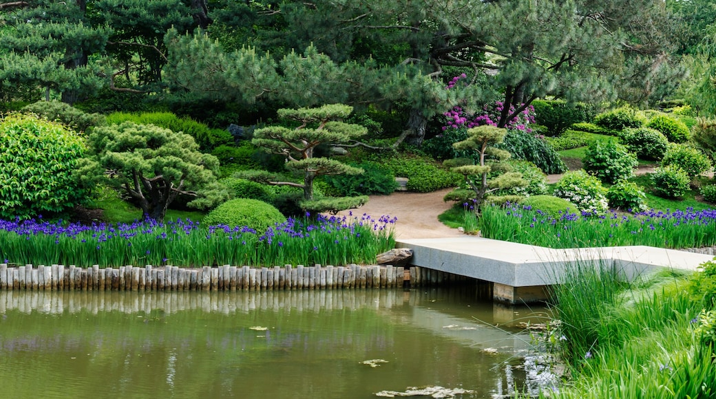 589-77 Chicago Botanic Garden Pano