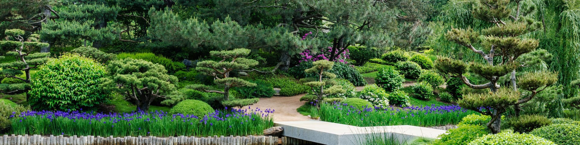 589-77 Chicago Botanic Garden Pano