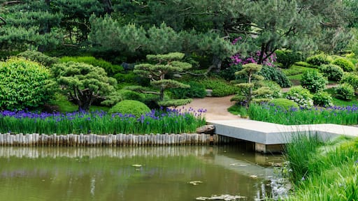 589-77 Chicago Botanic Garden Pano