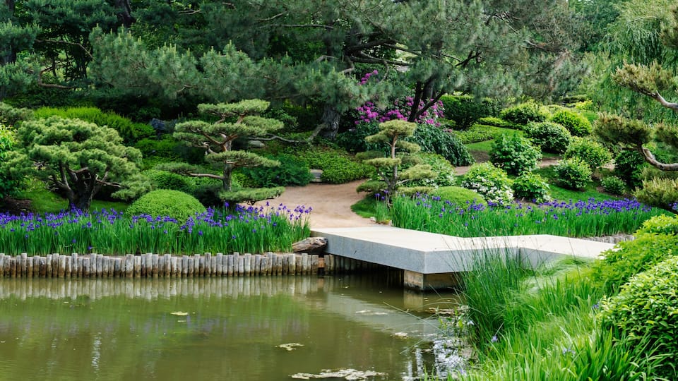 589-77 Chicago Botanic Garden Pano
