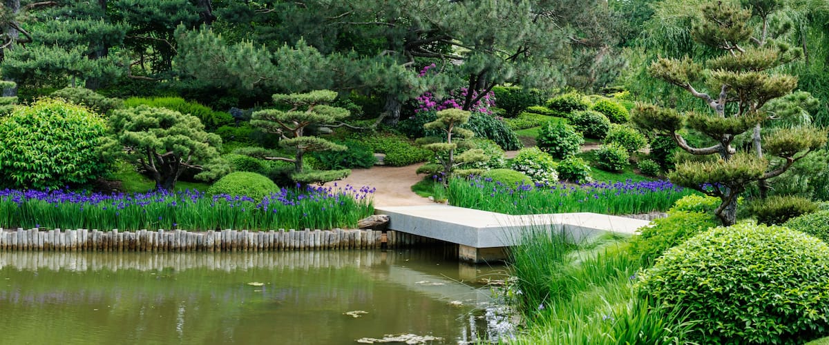 A serene garden with a pond, neatly trimmed bushes, and a stone bridge.
