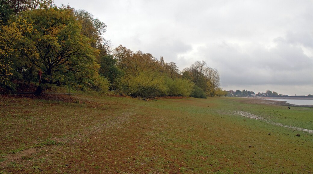 A dry summer has left the reservoir nearly empty. All the shoreline in the photo should be under water.