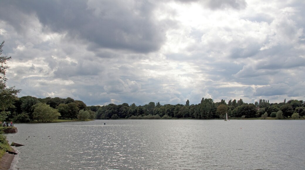 Edgbaston Reservoir 2