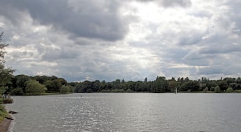 Edgbaston Reservoir 2